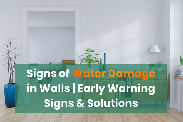 Signs of Water Damage in Walls | Early Warning Signs & Solutions